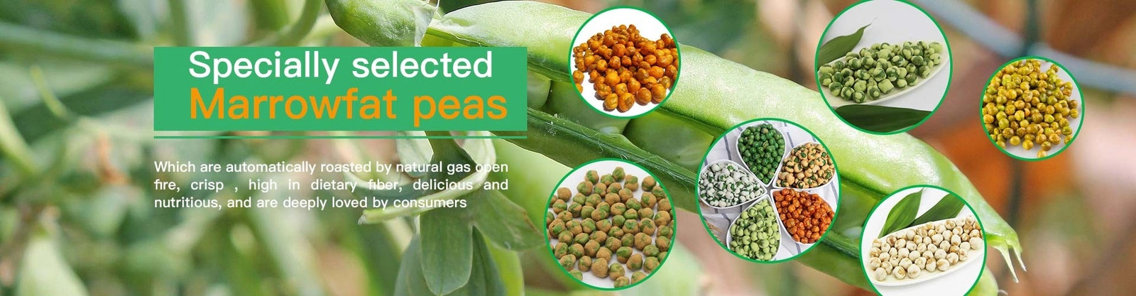 Fava Fasulye Aperatif