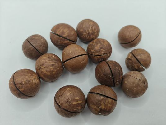 Plastik torbalardan lezzetli doğal makadamya fındıkları