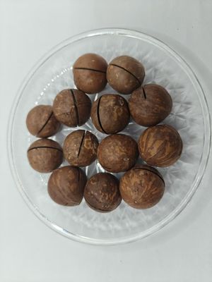 Plastik torbalardan lezzetli doğal makadamya fındıkları