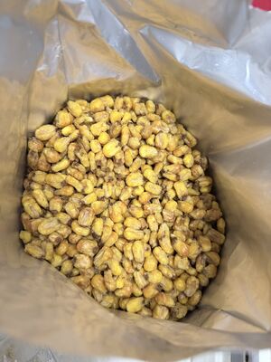 Kızarmış Fındık Mısır Uzun Taneler Atıştırmalık Hızlı Doğal Tatlı Sağlıklı Yemek