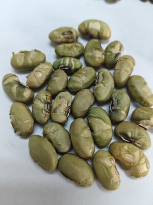 Cool And Dry Place Without Sunlight Storage Soya Bean Treats Ideal Ingredient For Nutritional Food Processing And Snacks