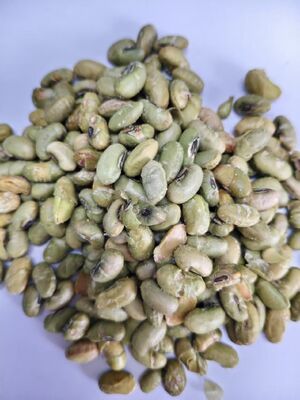 Son Kullanma Tarihi 12 Ay Soya Fasulyesi Atıştırmalıkları Fırında Pişirilmiş Stil Çıtır Besleyici Atıştırmalık Seçenekleri Toplu Satın Almaya Uygun