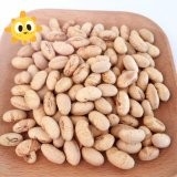 Kaşer Halal Sertifikalı Kaplı Kızarmış baharatlı Sarı Edamame Soya Fasulyesi Atıştırmalıkları ISO Onaylı