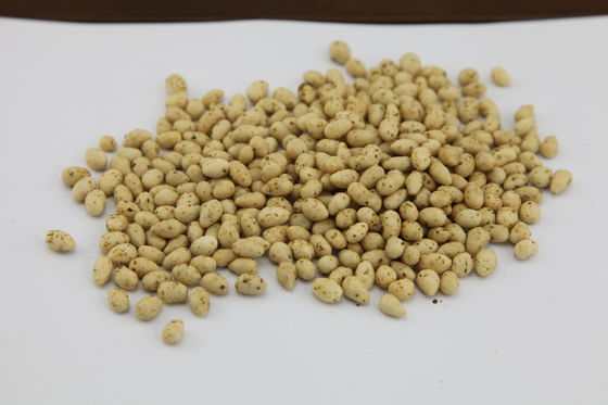 Kosher Sertifikalı Ayçiçeği Tohumu Aperatif, Kavrulmuş Ayçiçeği Taneleri Lezzetli Lezzet