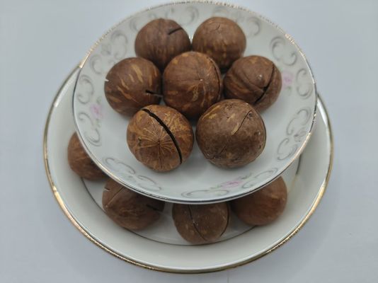 Macadamia Fıstığı