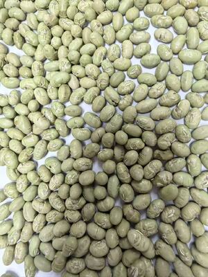 Organik Soya Fasulyesi Krokanları Besin Yoğun Protein Atıştırmalığı Gıda Üreticileri ve Sağlık Odaklı Ürünler İçin İdeal